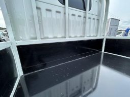 MITSUBISHI FUSO CANTER GUTS 2017 full