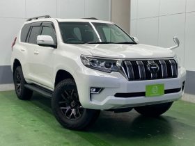 TOYOTA LAND CRUISER PRADO TX L PACKAGE 2019