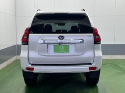 TOYOTA LAND CRUISER PRADO TX L PACKAGE 2019 full