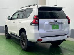TOYOTA LAND CRUISER PRADO TX L PACKAGE 2019 full