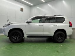 TOYOTA LAND CRUISER PRADO TX L PACKAGE 2019 full