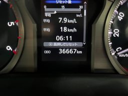 TOYOTA LAND CRUISER PRADO TX L PACKAGE 2019 full