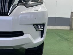 TOYOTA LAND CRUISER PRADO TX L PACKAGE 2019 full