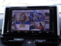 TOYOTA RAV4 ADVENTURE 2019 full