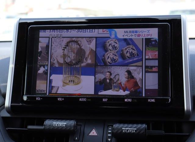 TOYOTA RAV4 ADVENTURE 2019 full