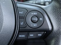 TOYOTA RAV4 ADVENTURE 2019 full