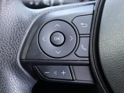 TOYOTA RAV4 ADVENTURE 2019 full