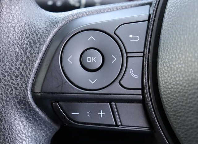 TOYOTA RAV4 ADVENTURE 2019 full