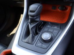 TOYOTA RAV4 ADVENTURE 2019 full