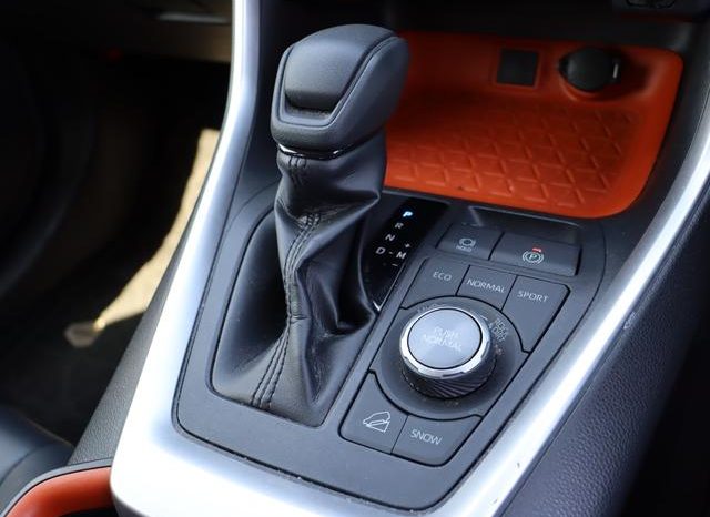 TOYOTA RAV4 ADVENTURE 2019 full