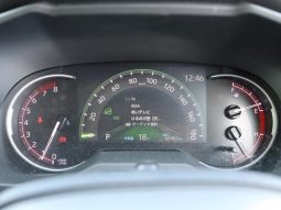 TOYOTA RAV4 ADVENTURE 2019 full