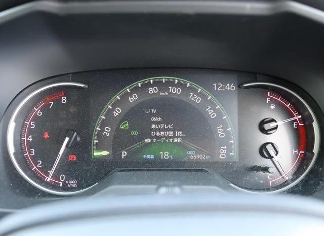 TOYOTA RAV4 ADVENTURE 2019 full