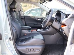 TOYOTA RAV4 ADVENTURE 2019 full