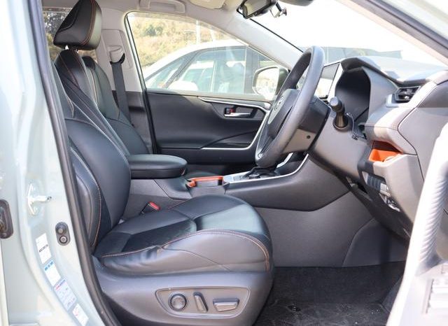 TOYOTA RAV4 ADVENTURE 2019 full