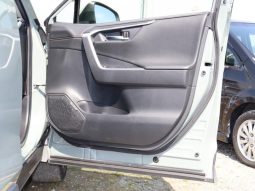 TOYOTA RAV4 ADVENTURE 2019 full