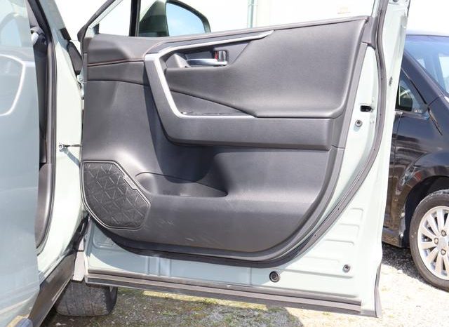 TOYOTA RAV4 ADVENTURE 2019 full