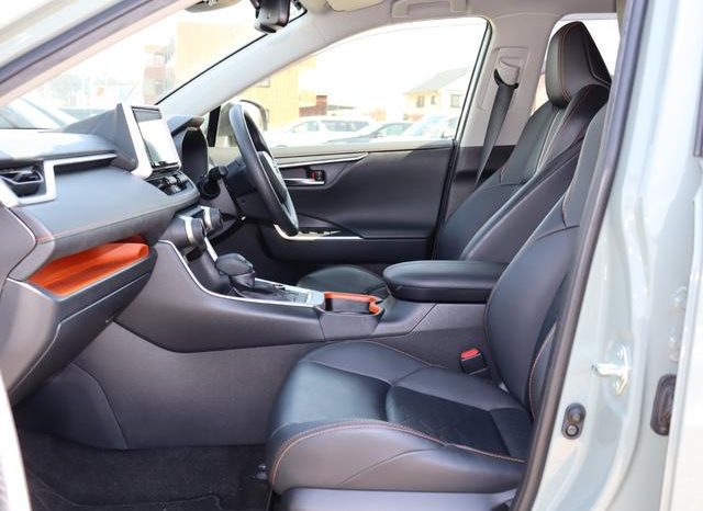 TOYOTA RAV4 ADVENTURE 2019 full