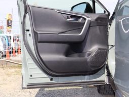 TOYOTA RAV4 ADVENTURE 2019 full