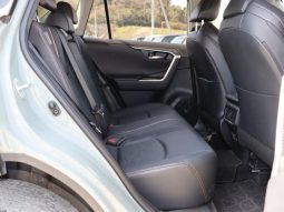 TOYOTA RAV4 ADVENTURE 2019 full