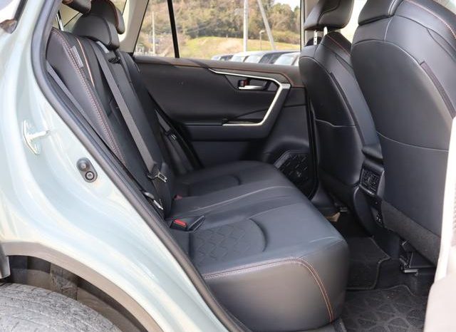 TOYOTA RAV4 ADVENTURE 2019 full