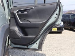 TOYOTA RAV4 ADVENTURE 2019 full