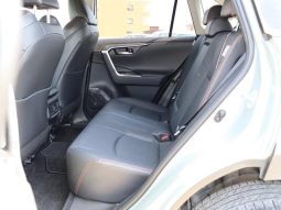 TOYOTA RAV4 ADVENTURE 2019 full