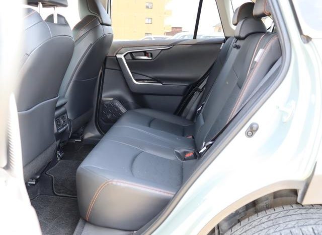 TOYOTA RAV4 ADVENTURE 2019 full