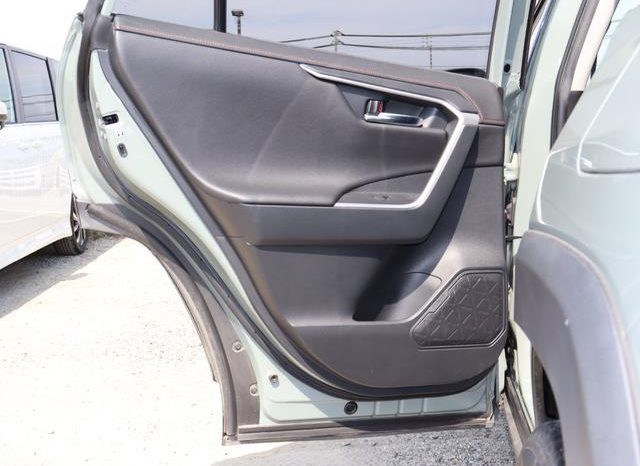 TOYOTA RAV4 ADVENTURE 2019 full