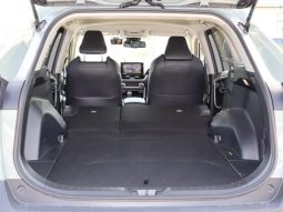 TOYOTA RAV4 ADVENTURE 2019 full