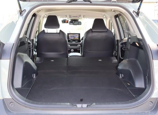 TOYOTA RAV4 ADVENTURE 2019 full