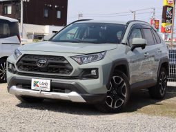 TOYOTA RAV4 ADVENTURE 2019 full