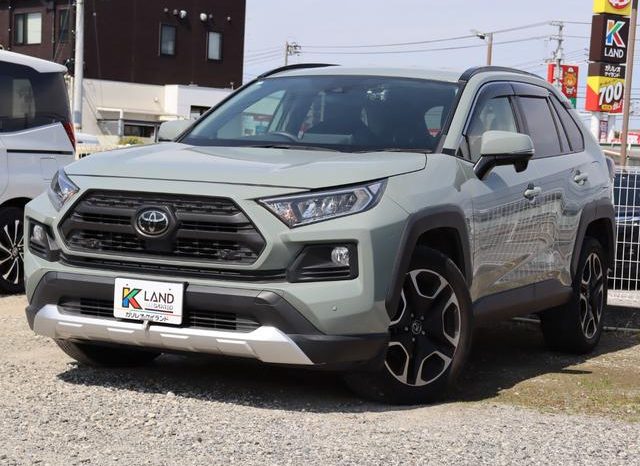 TOYOTA RAV4 ADVENTURE 2019 full