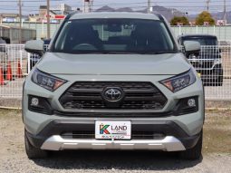 TOYOTA RAV4 ADVENTURE 2019 full