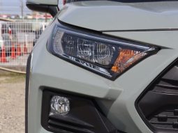 TOYOTA RAV4 ADVENTURE 2019 full