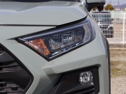 TOYOTA RAV4 ADVENTURE 2019 full