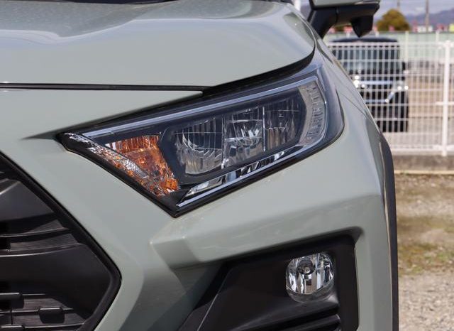 TOYOTA RAV4 ADVENTURE 2019 full