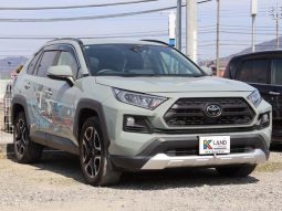 TOYOTA RAV4 ADVENTURE 2019 full