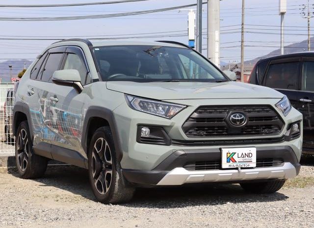 TOYOTA RAV4 ADVENTURE 2019 full