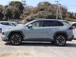 TOYOTA RAV4 ADVENTURE 2019 full