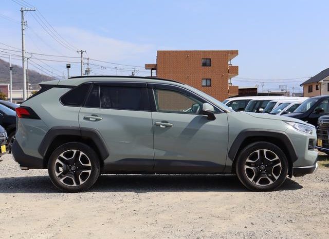 TOYOTA RAV4 ADVENTURE 2019 full