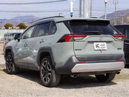 TOYOTA RAV4 ADVENTURE 2019 full