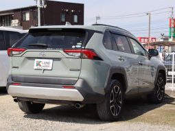 TOYOTA RAV4 ADVENTURE 2019 full