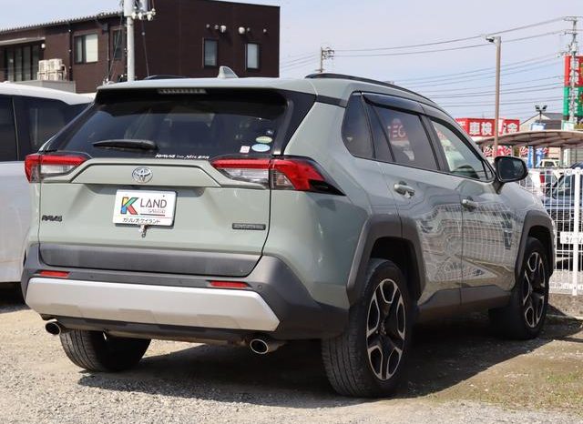 TOYOTA RAV4 ADVENTURE 2019 full