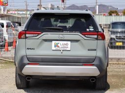 TOYOTA RAV4 ADVENTURE 2019 full