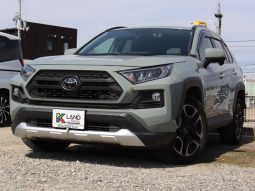 TOYOTA RAV4 ADVENTURE 2019 full