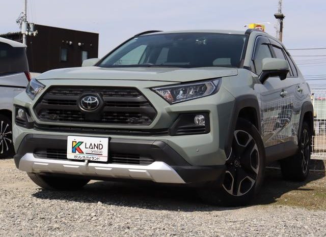 TOYOTA RAV4 ADVENTURE 2019 full