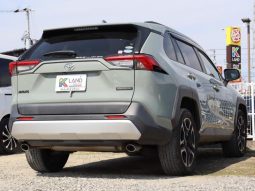 TOYOTA RAV4 ADVENTURE 2019 full