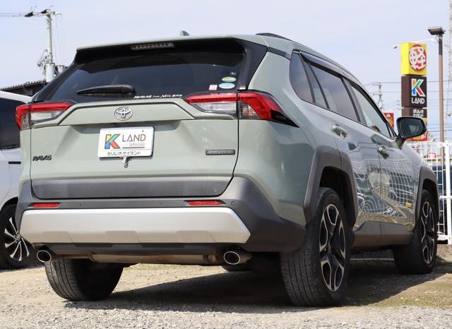 TOYOTA RAV4 ADVENTURE 2019 full