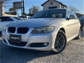BMW 3 Series 320i 2010