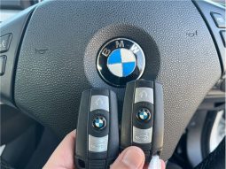 BMW 3 Series 320i 2010 full